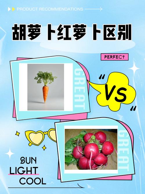 红萝卜和海鲜能同食吗？-图3