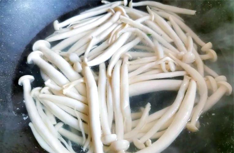 海鲜菇和土豆能一起吃吗？-图1