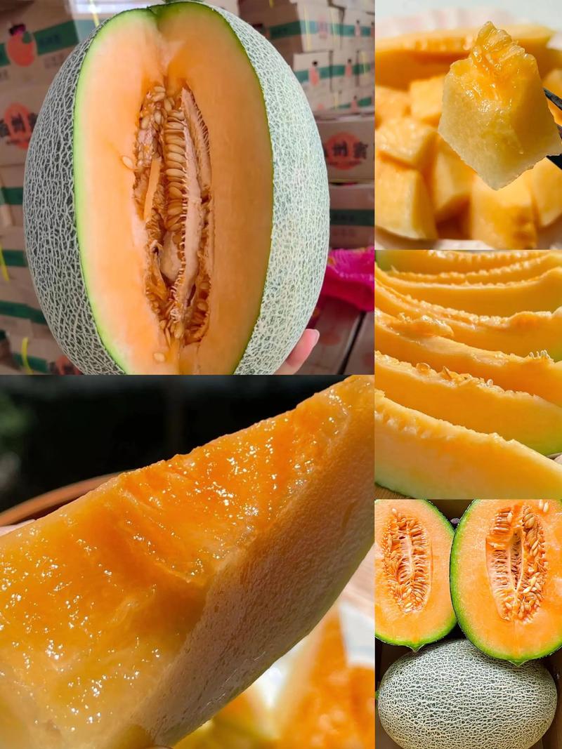 海鲜后哈密瓜会相克吗？-图3