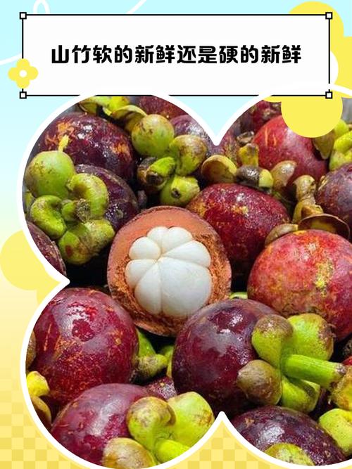 山竹后能吃海鲜吗？相克吗？-图3