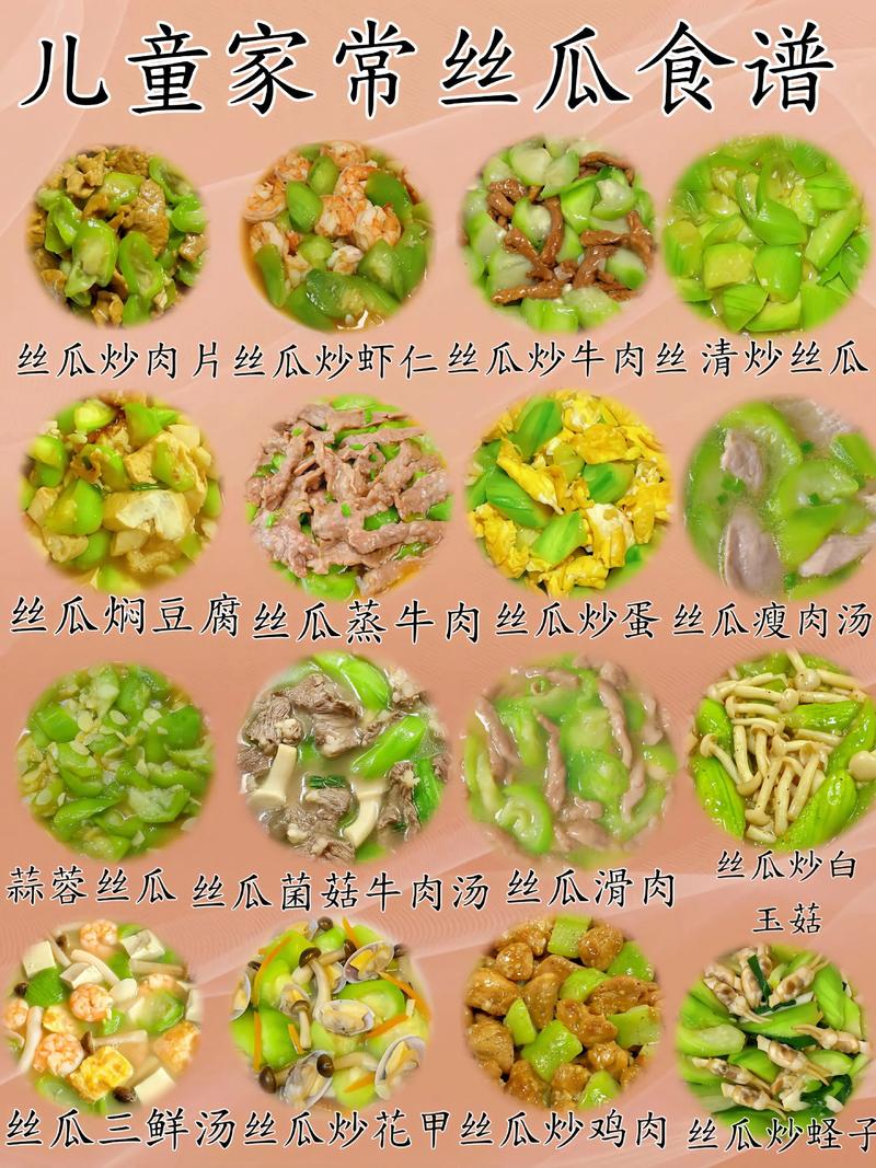 干锅丝瓜怎么做？家常做法有哪些？-图2