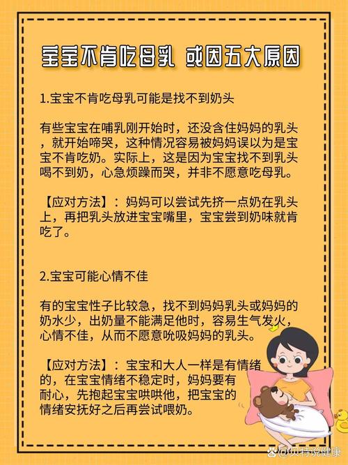 宝宝为何不能吃奶酪？-图1