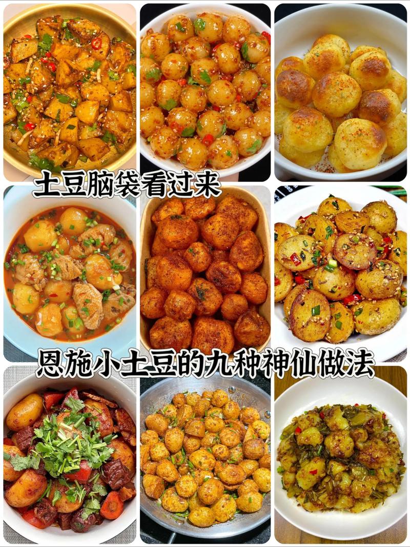 土豆炖做法有哪些？家常做法大全？-图2